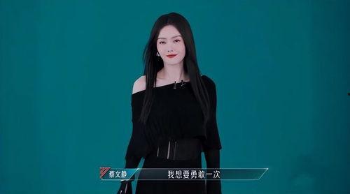 娱乐吃瓜君蔡文静,娱乐吃瓜界的风云人物 第2张 娱乐吃瓜君蔡文静,娱乐吃瓜界的风云人物 第2张