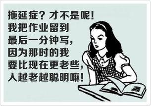 拖延症娱乐吃瓜酱,娱乐吃瓜酱的趣味生活  第2张