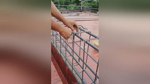 娱乐吃瓜酱扎钢筋,揭秘网红扎钢筋背后的故事 第2张 娱乐吃瓜酱扎钢筋,揭秘网红扎钢筋背后的故事 第2张