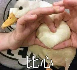 娱乐吃瓜酱鸭鸭视频,揭秘娱乐圈幕后故事 第2张 娱乐吃瓜酱鸭鸭视频,揭秘娱乐圈幕后故事 第2张