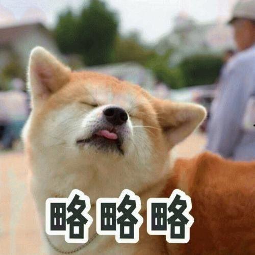 娱乐吃瓜酱小狗吉祥,小狗吉祥的欢乐日常  第3张
