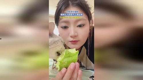 娱乐吃瓜酱小丫头,揭秘娱乐圈幕后故事  第2张