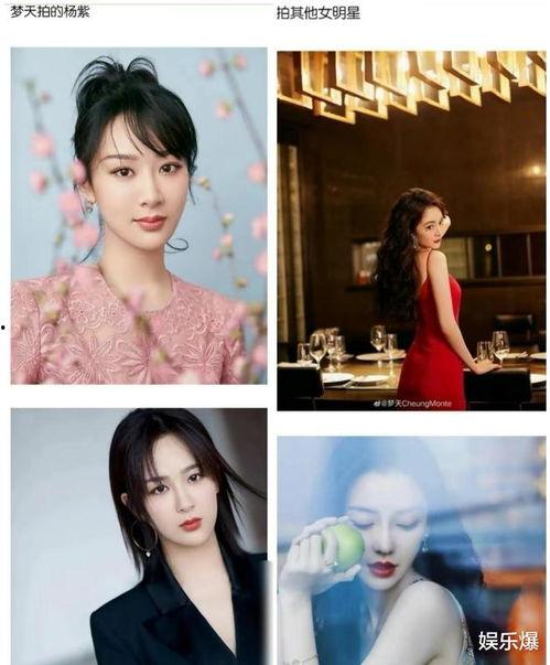 娱乐吃瓜摄影师,吃瓜摄影师背后的故事  第2张