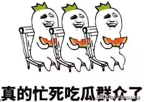 娱乐吃瓜酱低智商,揭秘低智商背后的娱乐真相  第1张