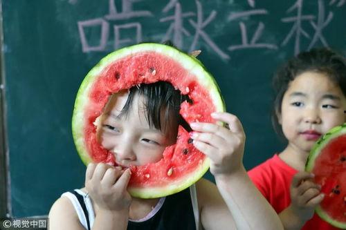 娱乐吃瓜酱安慰朋友,为朋友带来快乐与安慰  第3张