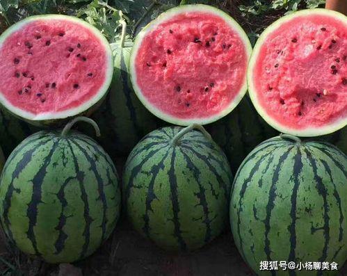 不舍昼夜吃瓜娱乐,揭秘不舍昼夜的娱乐盛宴  第1张