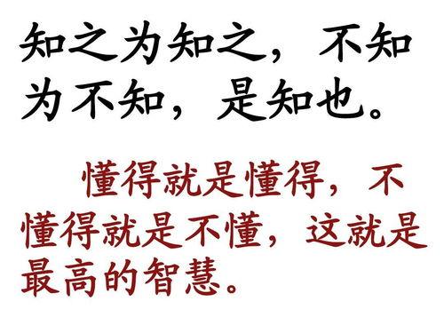 娱乐吃瓜酱名言名句大全,名言名句中的趣味人生  第2张