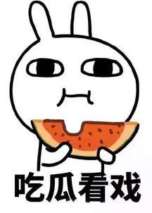 娱乐吃瓜酱算什么,揭秘娱乐圈背后的秘密与八卦  第2张