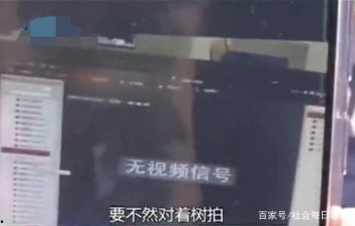 娱乐吃瓜酱偷电瓶,娱乐吃瓜酱的惊险一幕  第1张