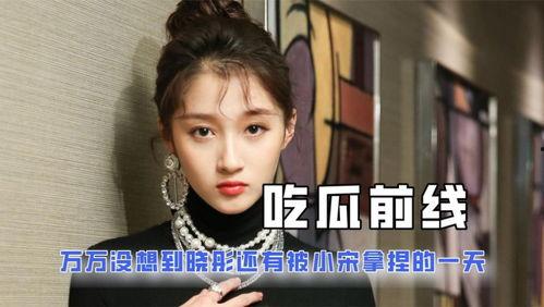 吃瓜娱乐圈小说,吃瓜者的逆袭之路