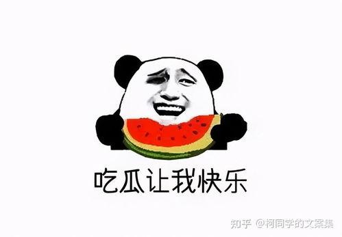娱乐吃瓜点评文案搞笑,笑料百出，笑翻你的文案盛宴