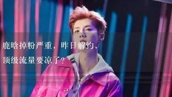 娱乐吃瓜小故事视频,揭秘娱乐圈幕后趣闻 第3张 娱乐吃瓜小故事视频,揭秘娱乐圈幕后趣闻 第3张