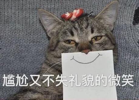 娱乐吃瓜君与猫,猫与君揭秘娱乐圈幕后大佬顾星时传奇故事