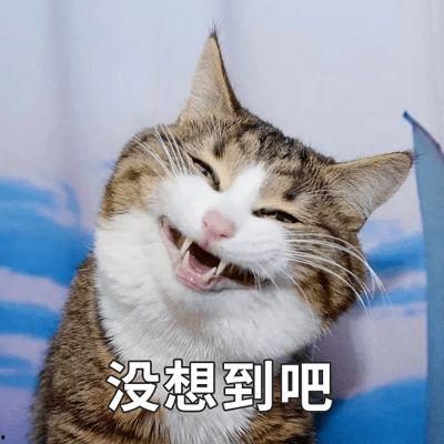 娱乐吃瓜酱猫妈,揭秘娱乐圈背后的温馨故事 第3张 娱乐吃瓜酱猫妈,揭秘娱乐圈背后的温馨故事 第3张