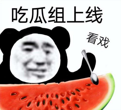 娱乐吃瓜酱怼亲戚 第2张 娱乐吃瓜酱怼亲戚 第2张