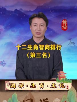 吃瓜娱乐的创作原声,揭秘吃瓜娱乐背后的音乐魅力  第3张