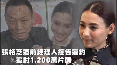 一线吃瓜娱乐,揭秘娱乐圈幕后真相  第1张
