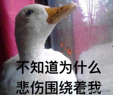 娱乐吃瓜酱冲鸭,抖音新歌点燃青春正能量 第2张 娱乐吃瓜酱冲鸭,抖音新歌点燃青春正能量 第2张