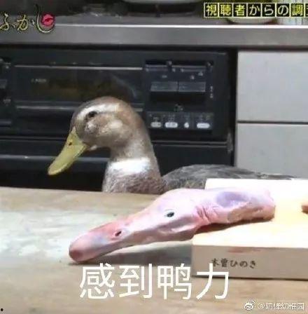 娱乐吃瓜酱冲鸭,抖音新歌点燃青春正能量 第3张 娱乐吃瓜酱冲鸭,抖音新歌点燃青春正能量 第3张