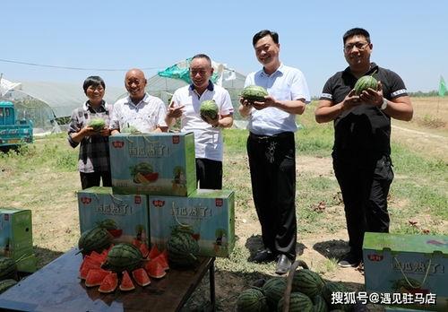 娱乐吃瓜小金鱼小说,小金鱼吃瓜记 第3张 娱乐吃瓜小金鱼小说,小金鱼吃瓜记 第3张