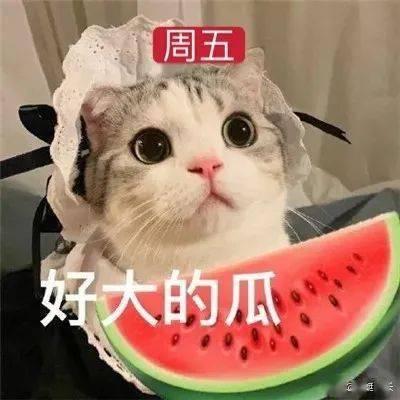 娱乐搞笑吃瓜群名字,揭秘娱乐搞笑吃瓜群名背后的欢乐故事 第1张 娱乐搞笑吃瓜群名字,揭秘娱乐搞笑吃瓜群名背后的欢乐故事 第1张