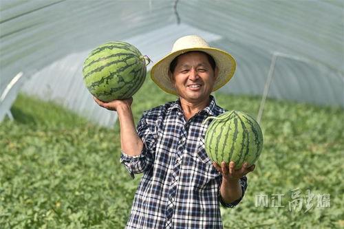 扎西枫丹娱乐吃瓜,揭秘娱乐圈最新吃瓜事件 第3张 扎西枫丹娱乐吃瓜,揭秘娱乐圈最新吃瓜事件 第3张