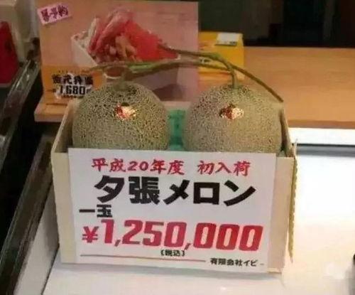 娱乐大爆料吃大瓜,明星幕后故事大曝光! 第3张 娱乐大爆料吃大瓜,明星幕后故事大曝光! 第3张