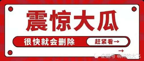 娱乐吃瓜论坛官网,带你走进娱乐圈的幕后风云 第3张 娱乐吃瓜论坛官网,带你走进娱乐圈的幕后风云 第3张