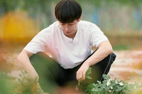 娱乐吃瓜君彭昱畅,娱乐吃瓜界的“瓜王” 第2张 娱乐吃瓜君彭昱畅,娱乐吃瓜界的“瓜王” 第2张