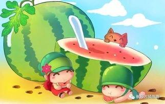 娱乐君吃瓜老绵羊,揭秘老绵羊背后的故事  第3张