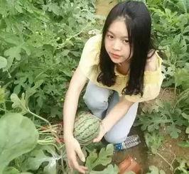 落梦楠娱乐吃瓜,揭秘娱乐圈最新吃瓜事件 第3张 落梦楠娱乐吃瓜,揭秘娱乐圈最新吃瓜事件 第3张