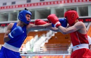 吃瓜娱乐拳击比赛视频,吃瓜群众视角下的精彩对决  第1张