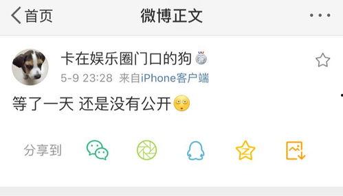 娱乐吃瓜爆料营销号,揭秘明星背后的那些事儿 第3张 娱乐吃瓜爆料营销号,揭秘明星背后的那些事儿 第3张