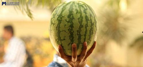 娱乐吃瓜大事件,揭秘年度最热吃瓜大事件  第3张