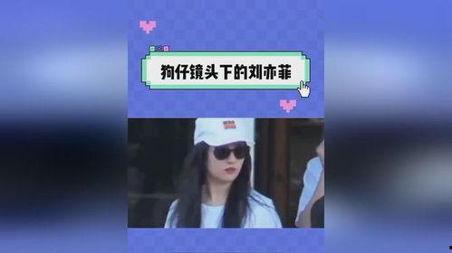 吃瓜娱乐视频网站,带你领略网络娱乐新风尚  第3张