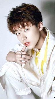 吃瓜娱乐舒淇王源,吃瓜娱乐界新篇章  第2张