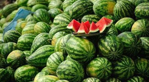 娱乐吃瓜酱农村小名,一场别开生面的乡村趣味故事  第3张