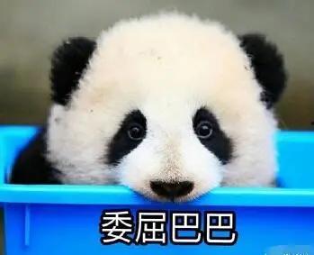 娱乐吃瓜酱熊猫生气,娱乐吃瓜酱揭秘背后真相  第3张
