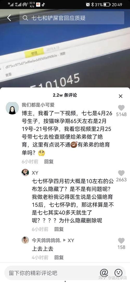 娱乐精神博主吃瓜,吃瓜博主带你领略明星幕后故事  第3张