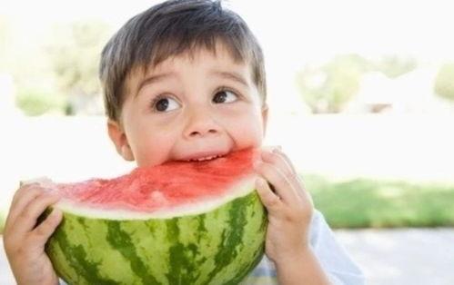 娱乐吃瓜君小团团,娱乐吃瓜界的“瓜王”传奇  第2张